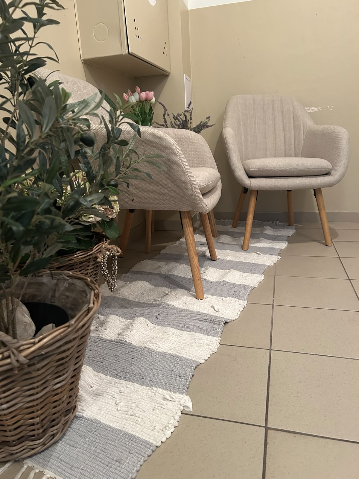 Psí salon LUCI - 9,1